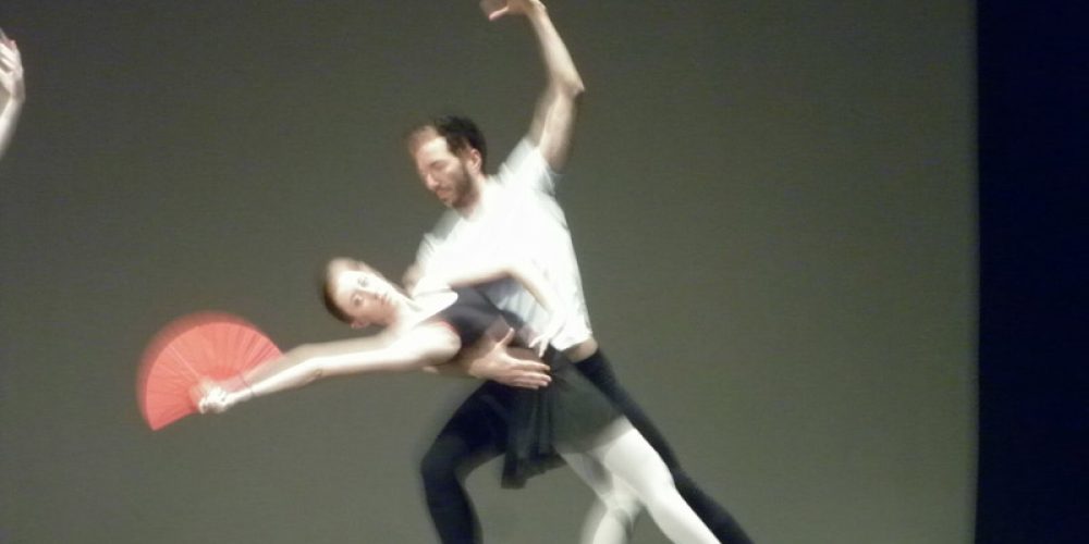 Il Lago dei Cigni – Teatro Eliseo – Roma, 1.06.2013