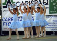 Santa Rosa 2011 – Pilastro